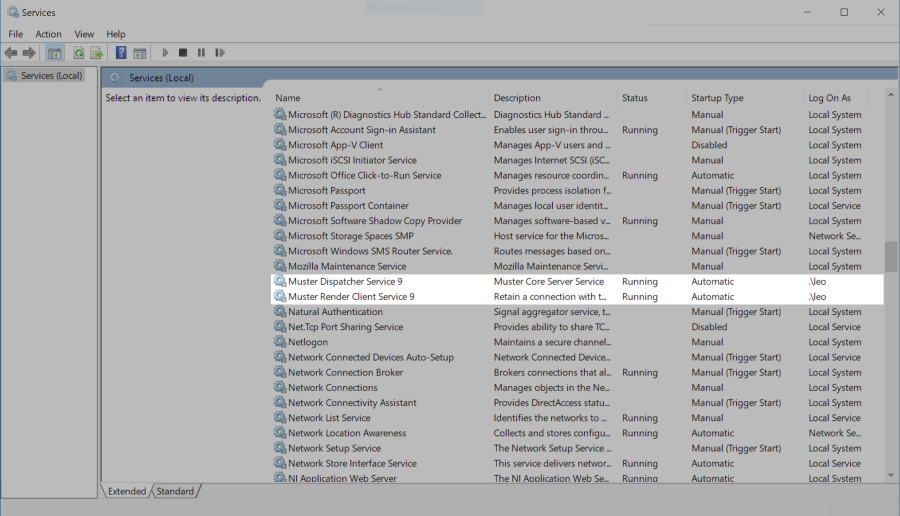 windows_install_services.png windows_install_services.png