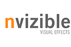 nvizible